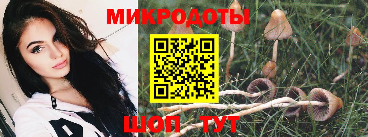 Псилоцибиновые грибы Cubensis Калуга
